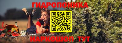 первитин Новодвинск