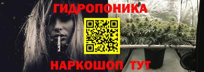 2c-b Новозыбков