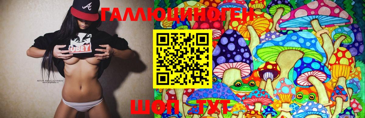 Псилоцибиновые грибы мицелий  Вход с VPN  Элиста 